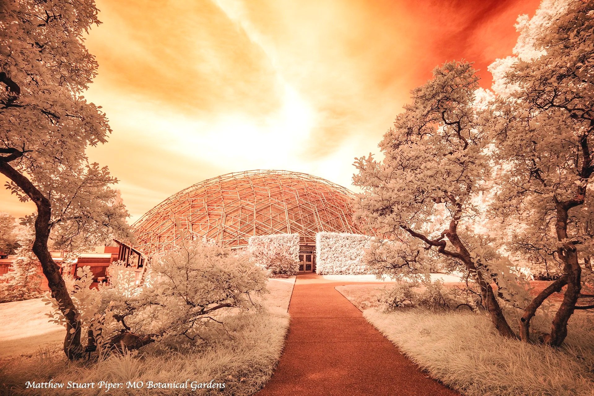 Astrobiology