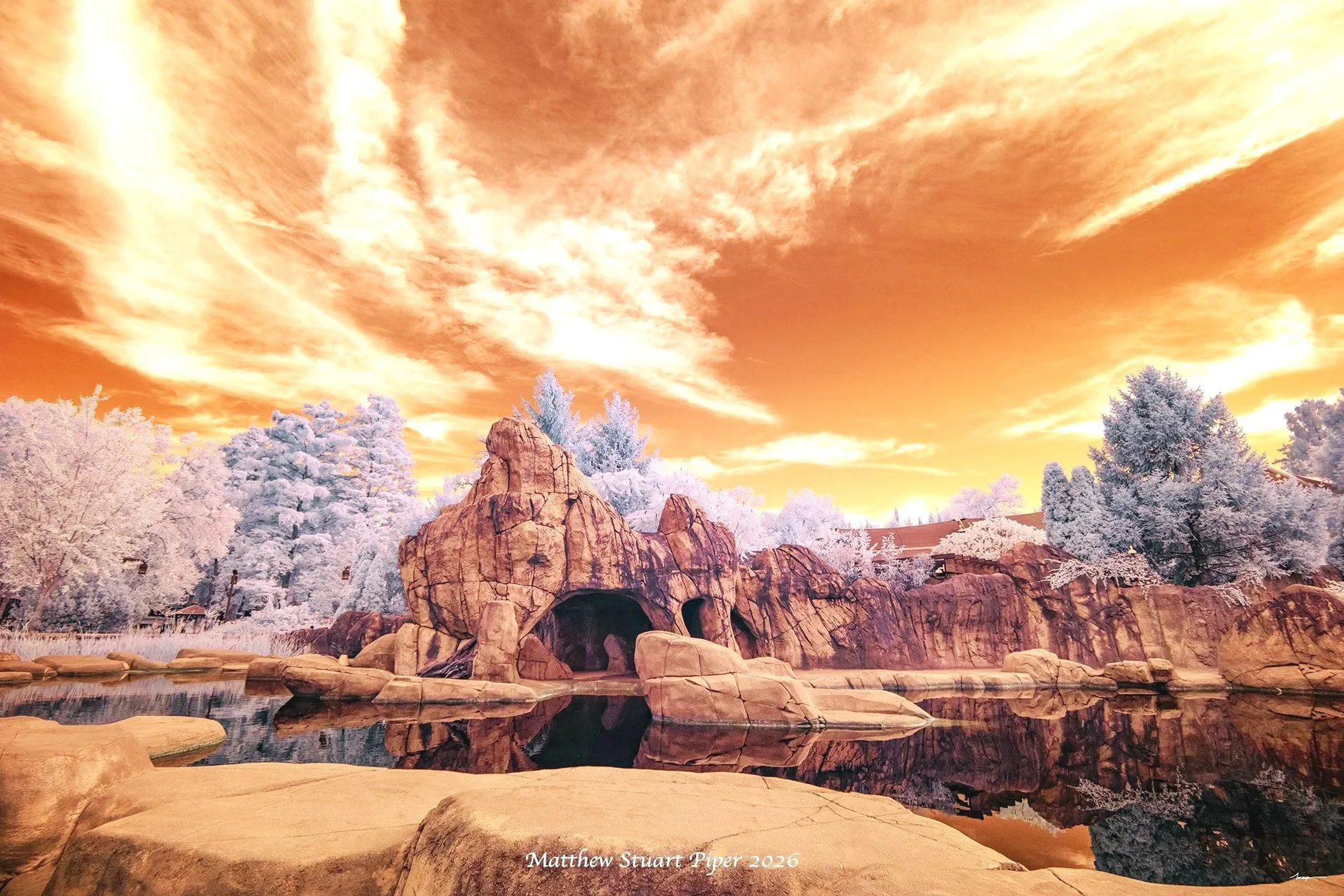 Zooscape
