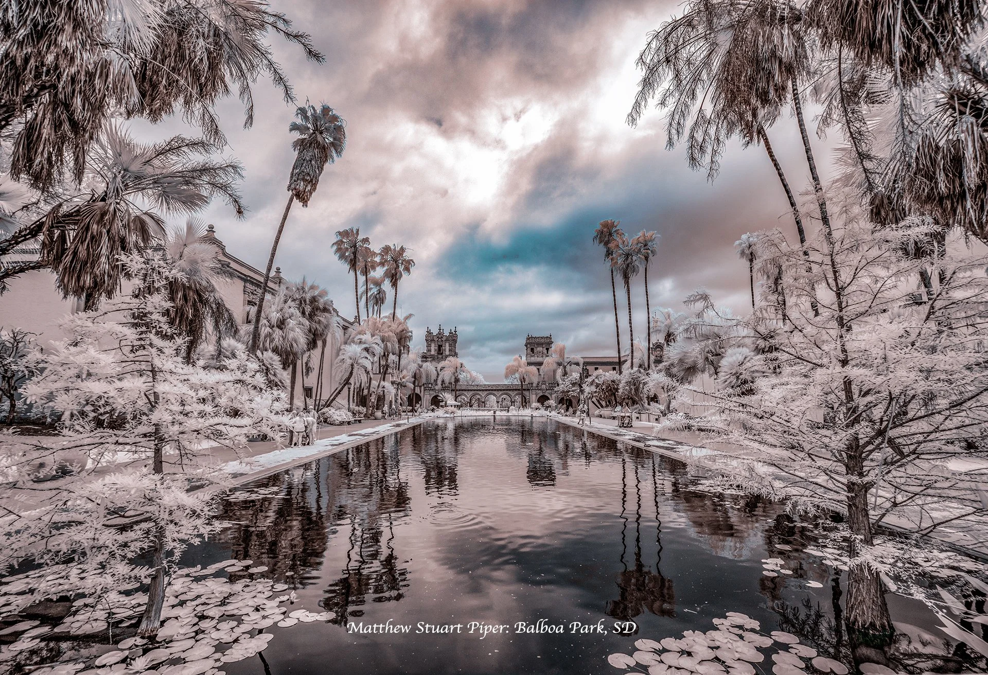 Infrared Balboa 