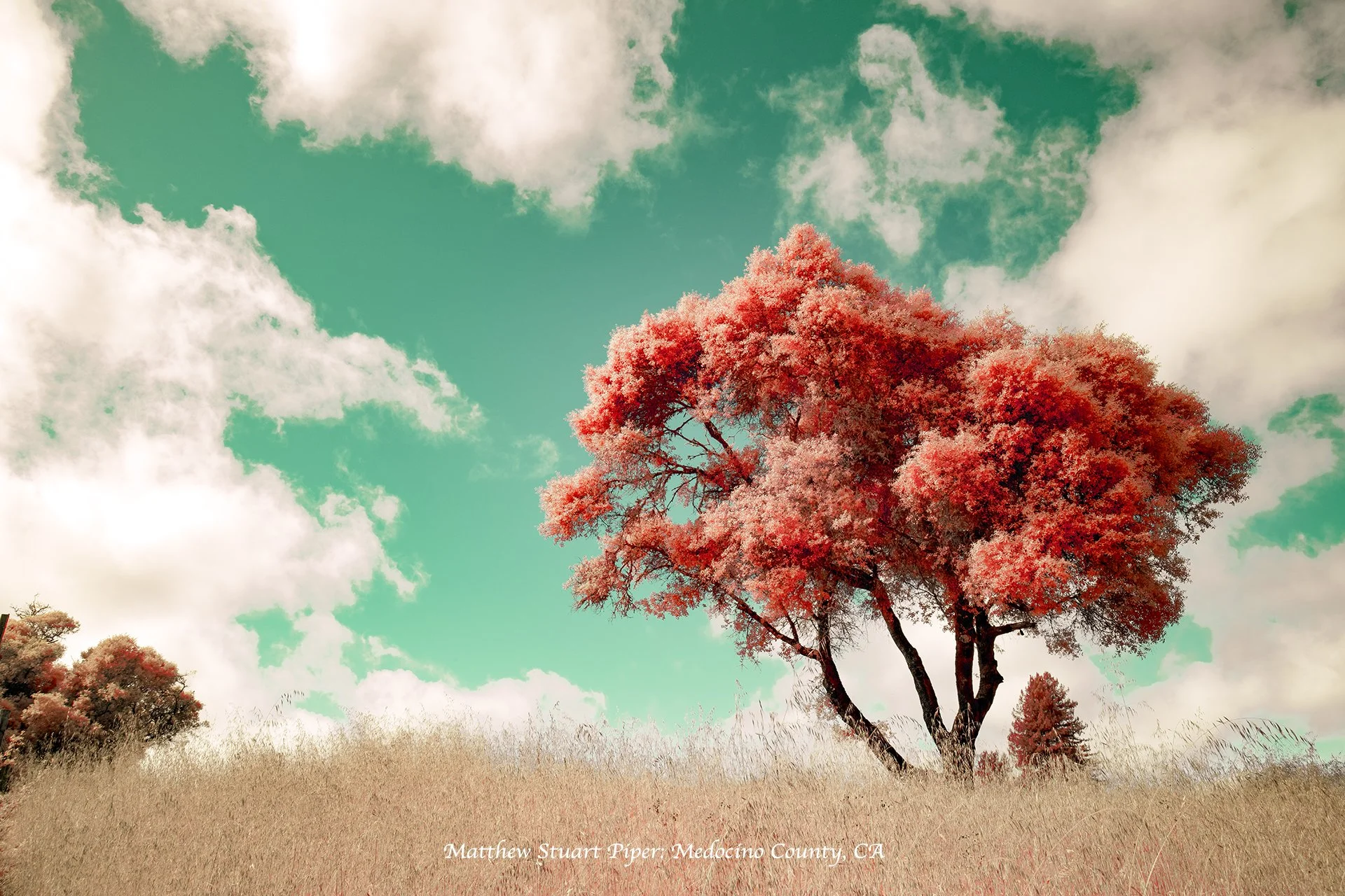 One Fine Day