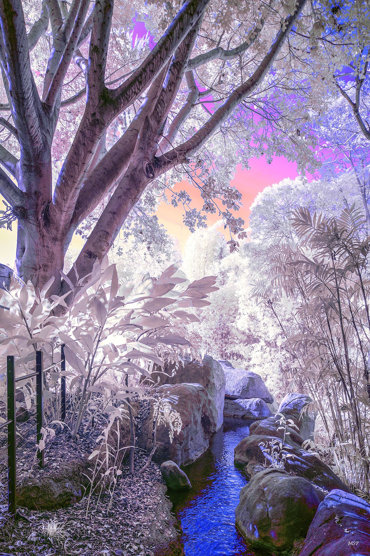 tributary3.jpg