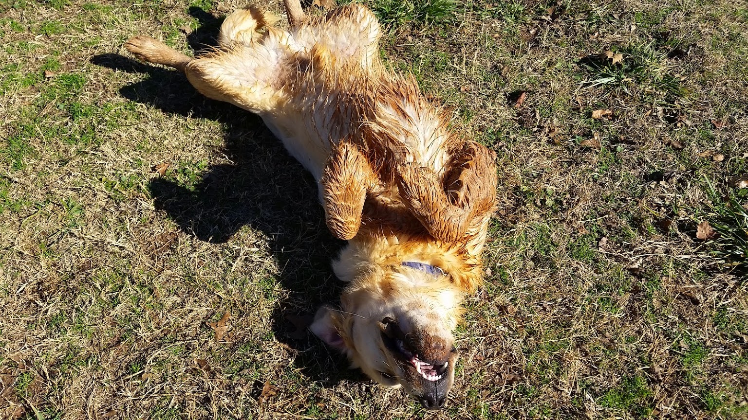 20141226_125623.jpg