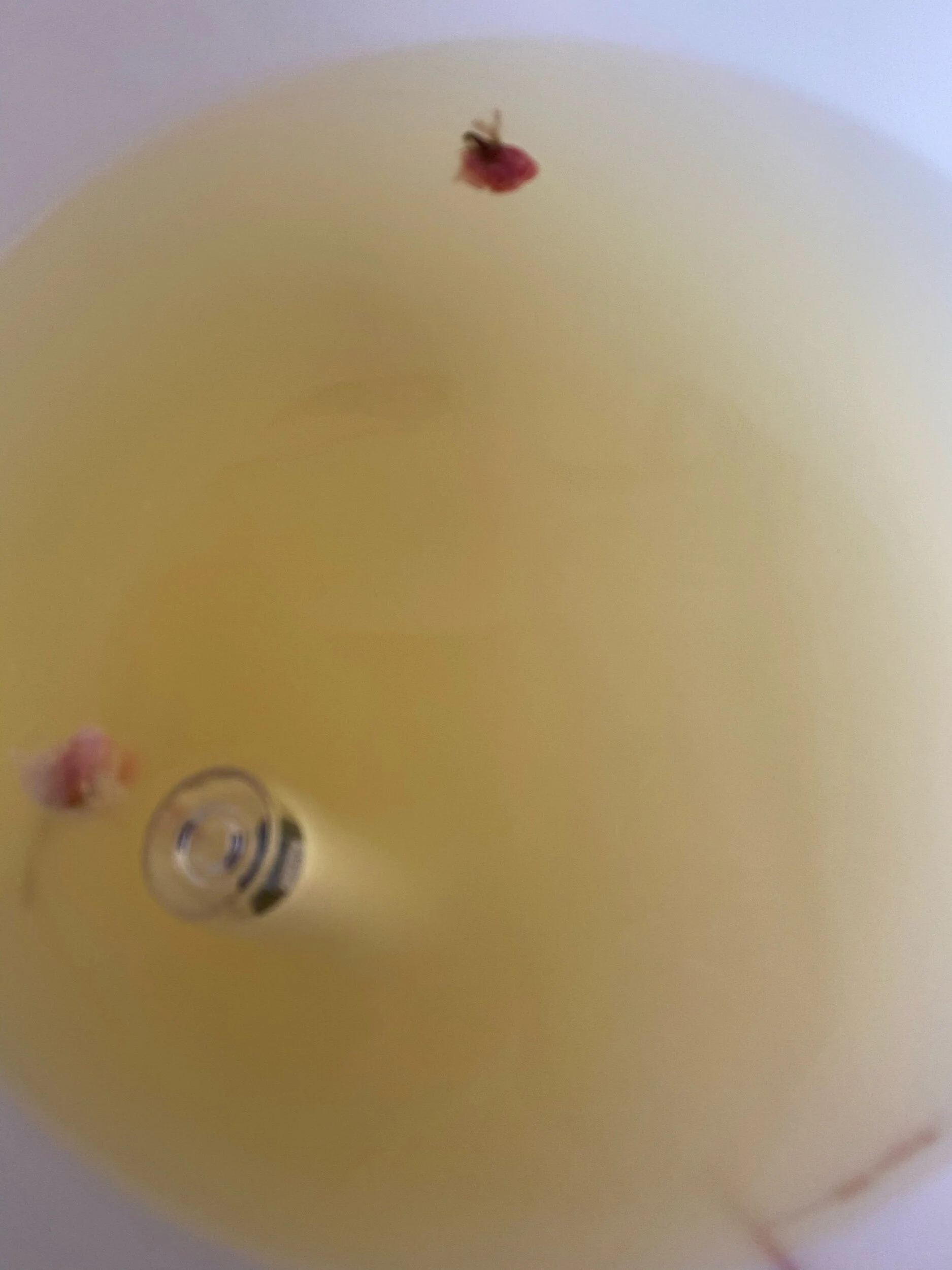 Cave of the WInds pt 2 cont.