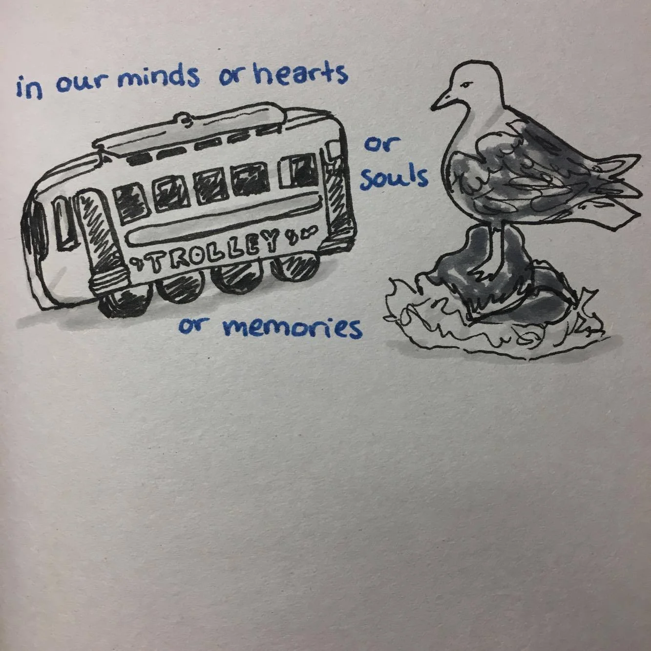 50.jpg