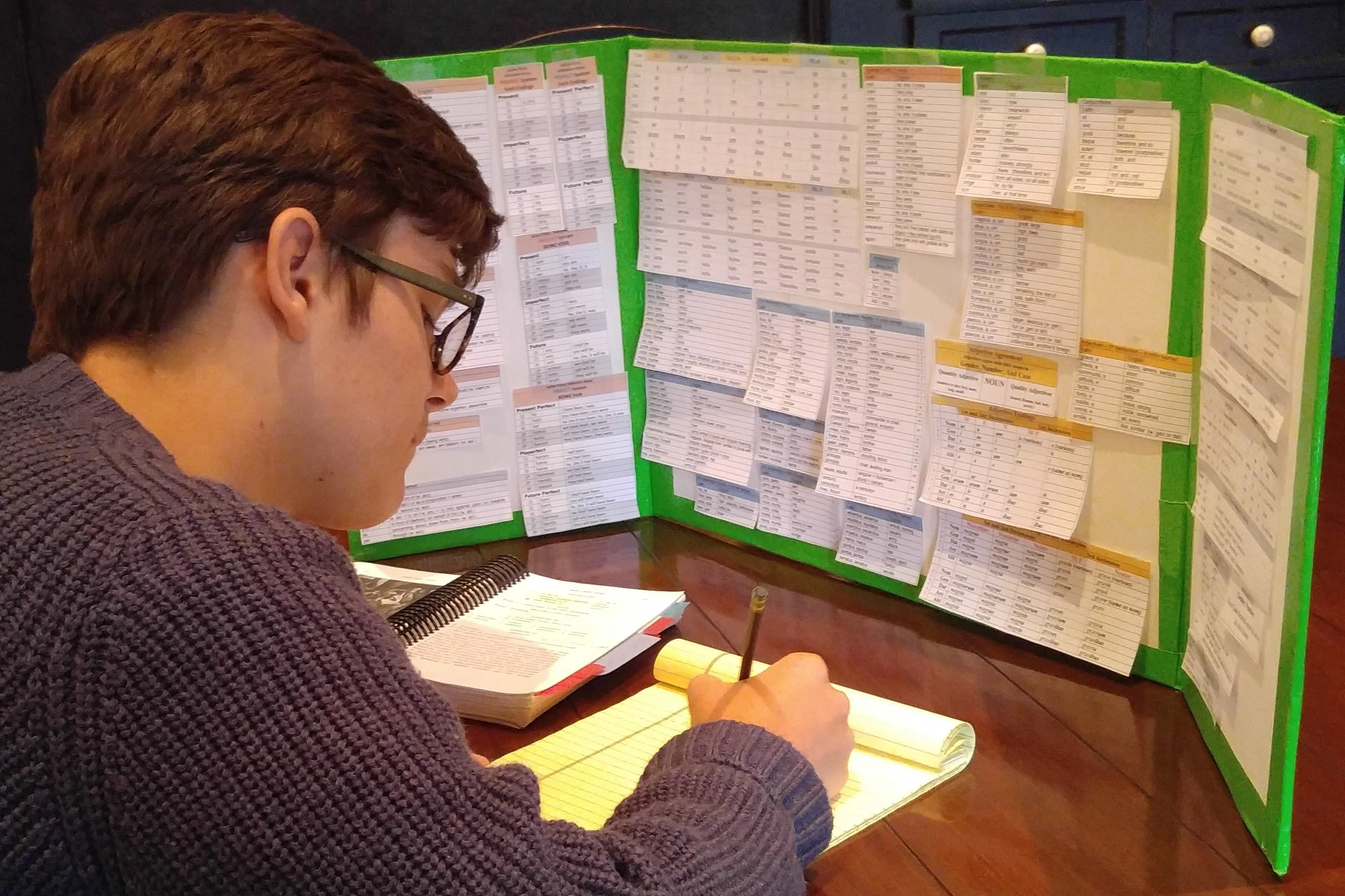 Latin Study Board Henle Classical Conversations Challenge Charlie.jpg