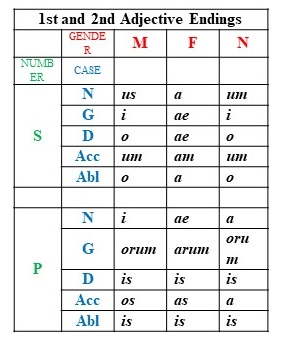 Latin Adjective Endings Chart