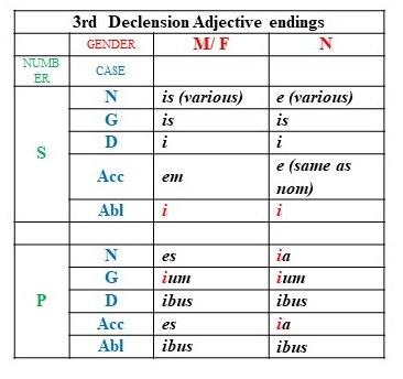 Latin Adjective Endings Chart