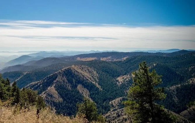 Sunday Runday, Trail Edition: White Ranch