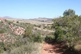 Harriers Take The Trails: Deer Creek Canyon
