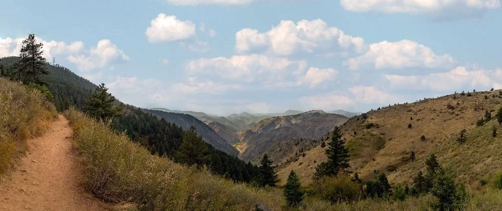 Harriers Take The Trails: Windy Saddle