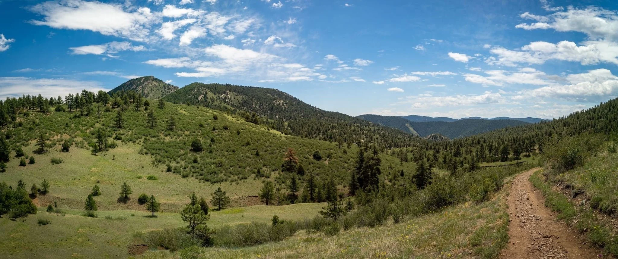 Sunday Runday, Trail Edition: Centennial Cone Park