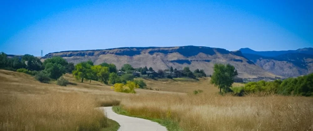 Sunday Runday: Van Bibber Creek Trail