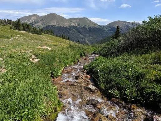 Sunday Runday, Trail Edition: Butler Gulch