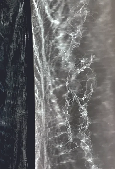 Joy Episalla & Carrie Yamaoka