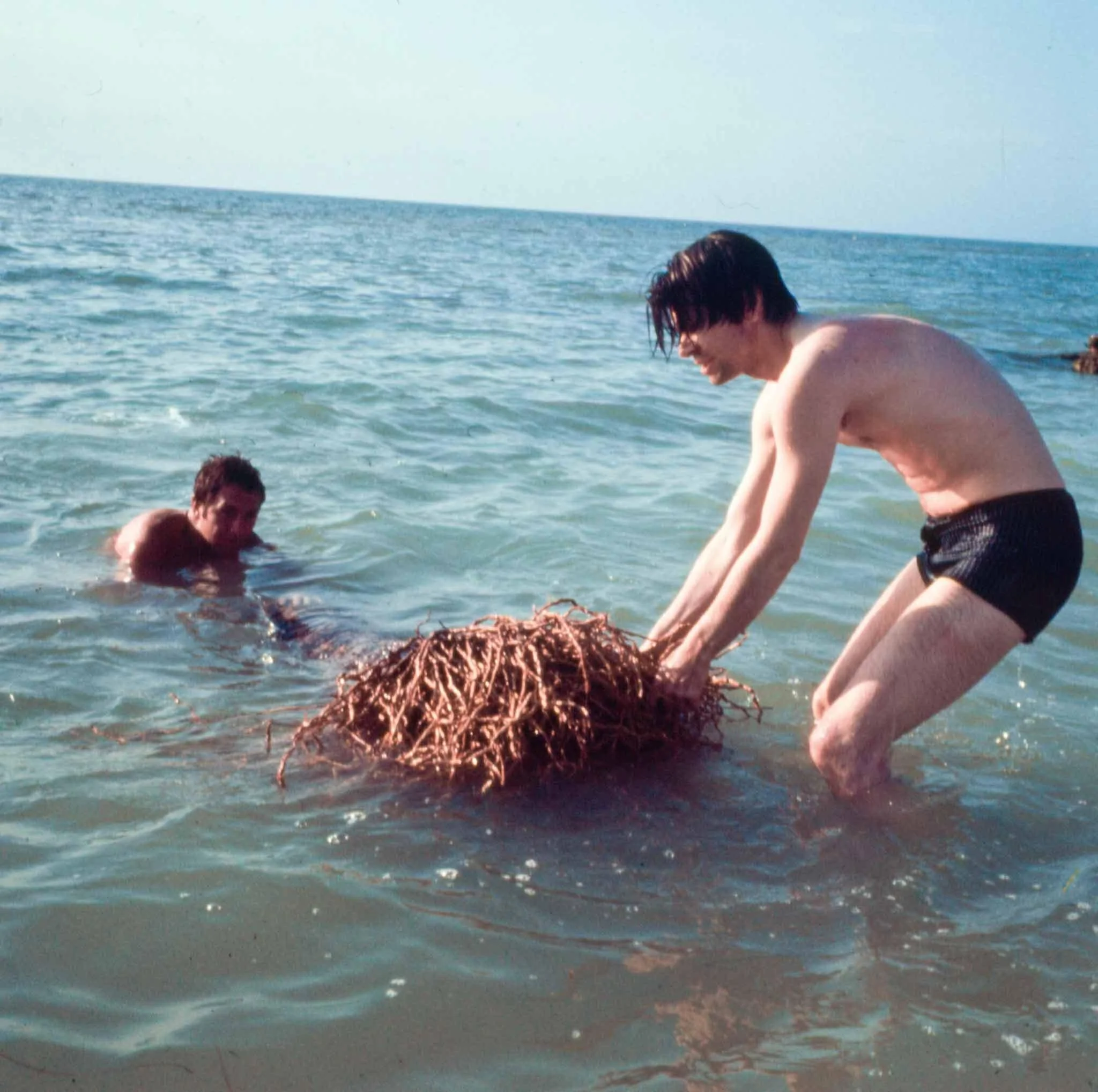 Robert Smithson