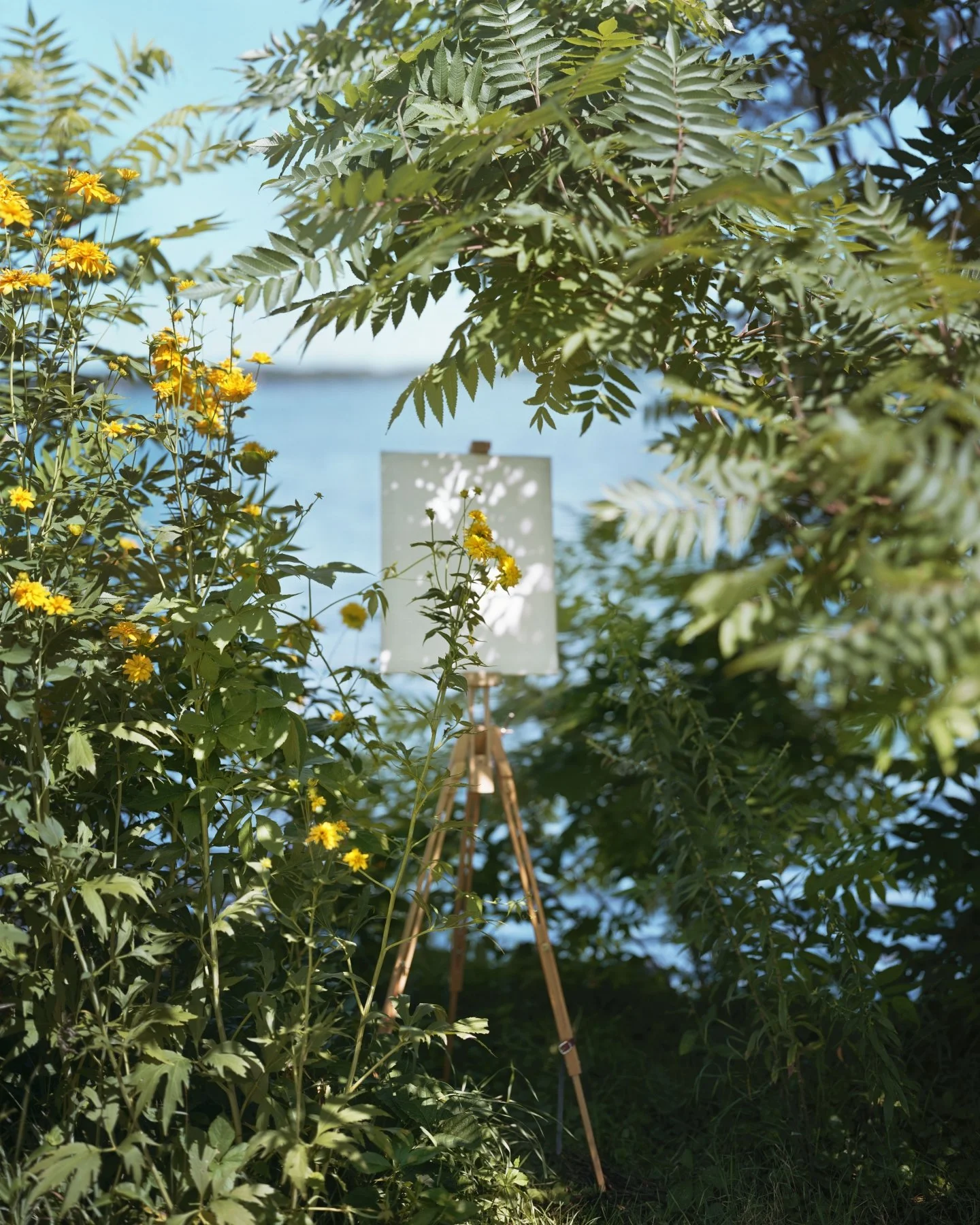 Alec Soth