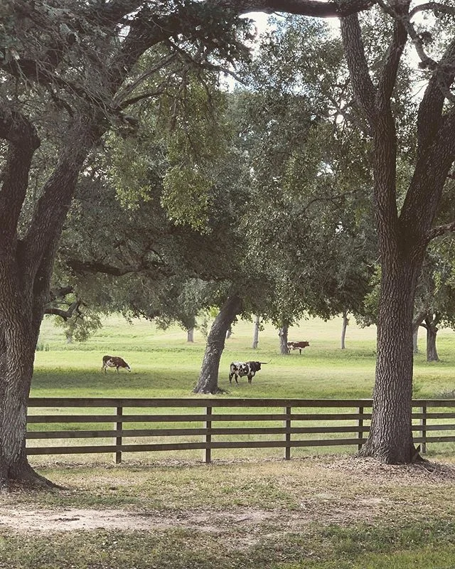Round Top did not disappoint this year! Seeing @kellywearstler @suzannekasler @marymcdonaldinc &amp; @martynbullard all in one day was pretty amazing!  Catching up with familiar faces and old friends was the cherry on top to great this shopping trip!