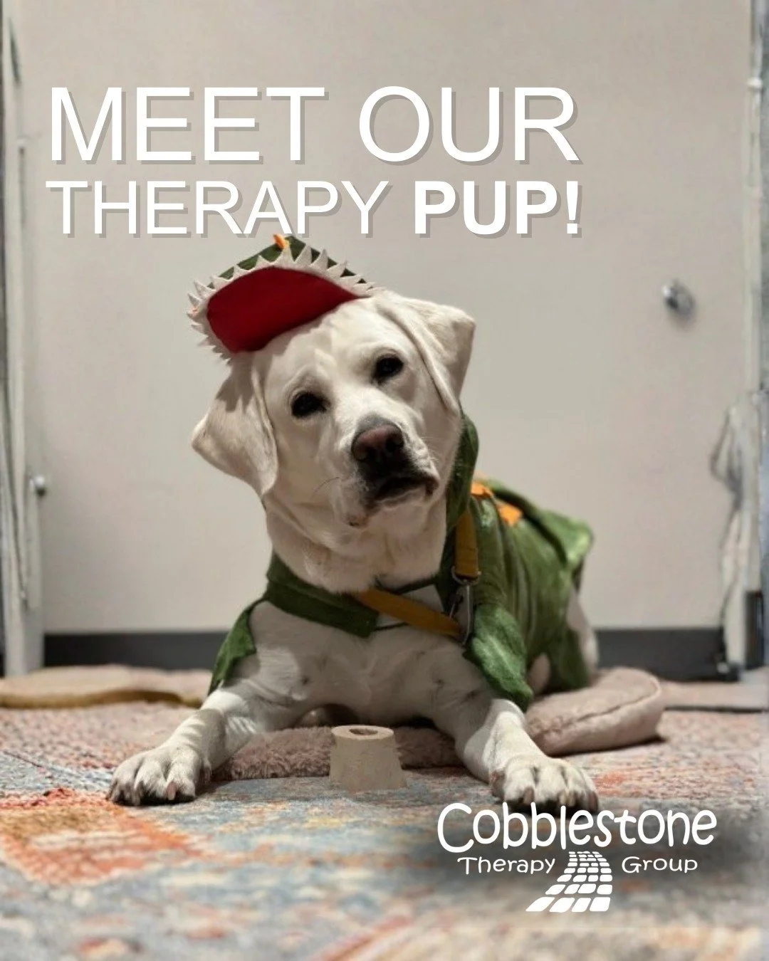 Meet the Therapy Pup, Holiday Edition 🎄

Say hello to the most festive helper in the clinic, Butters! Our therapy pup is spreading holiday cheer, one wag and cuddle at a time! 🐶✨
From greeting new friends to offering the perfect snuggle break durin