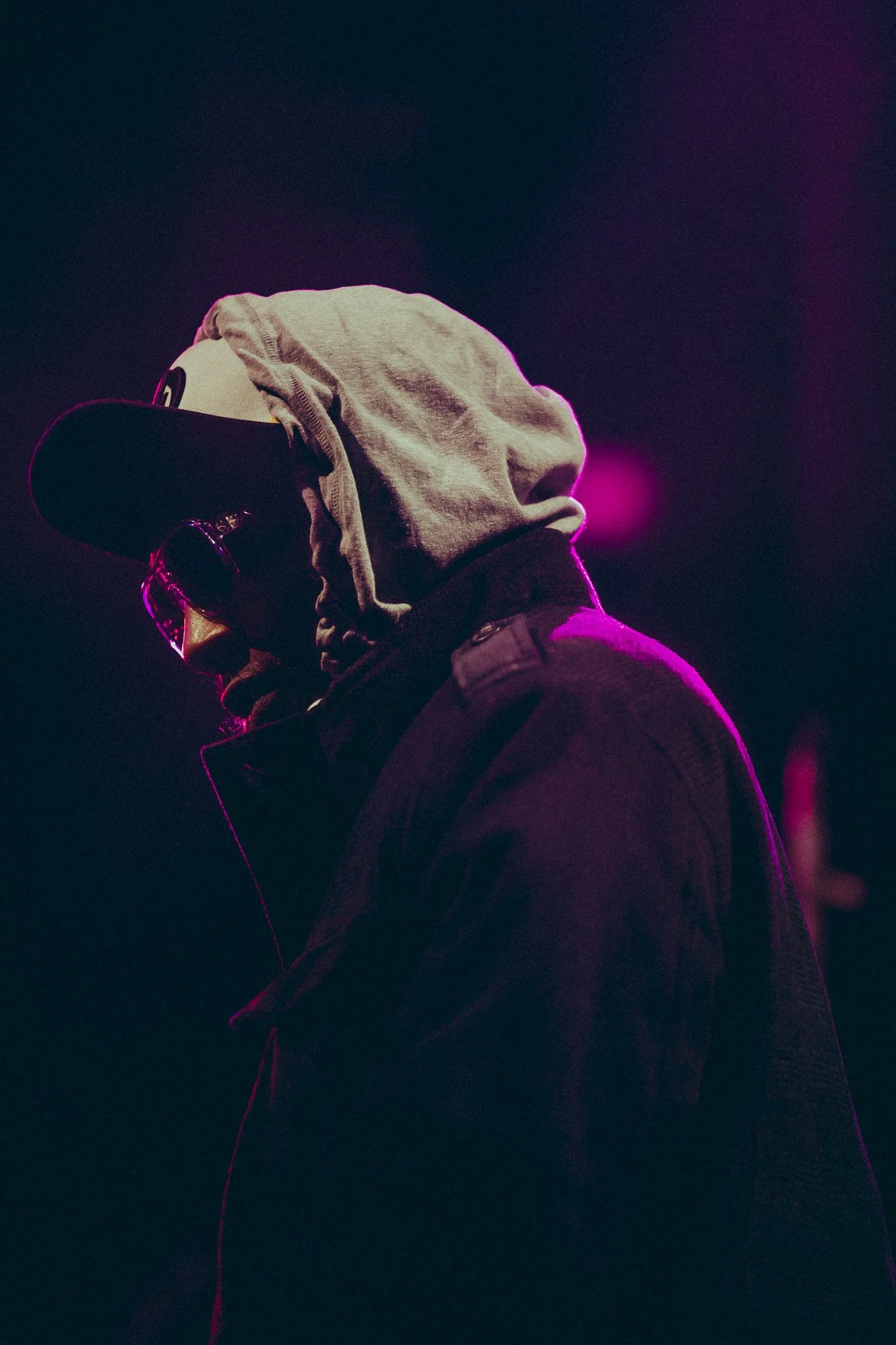 Del The Funky Homosapien