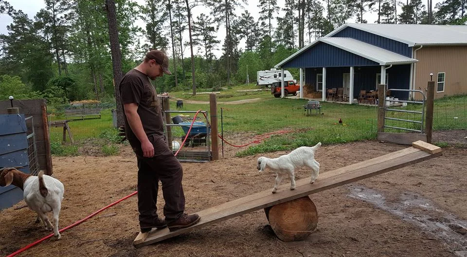Tyler on seesaw.jpg