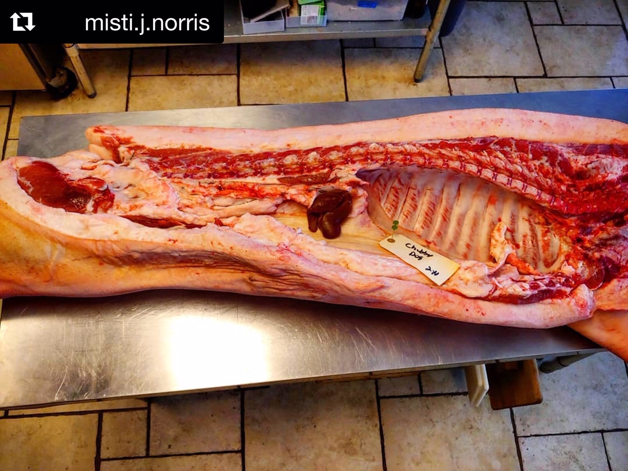 Misti Norris pig side.jpg