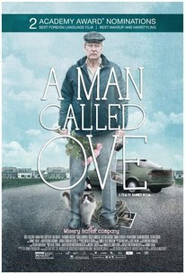 Movie Night - A Man Called Ove