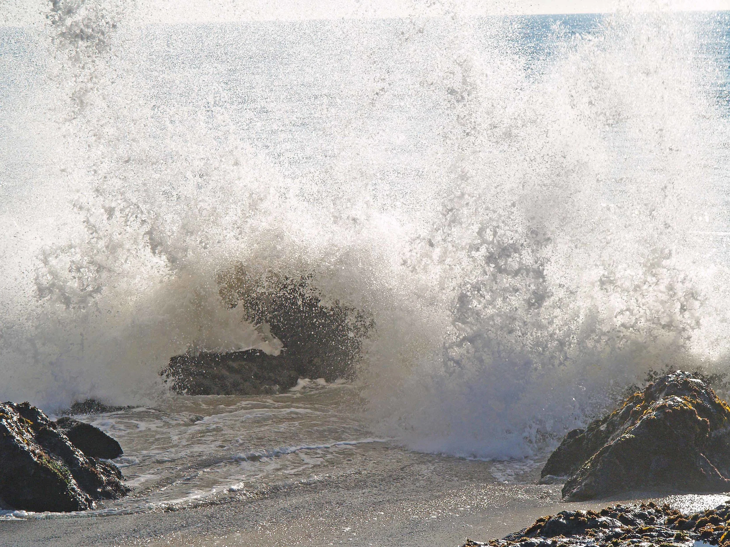 P1012007_edited-1v1_72.jpg