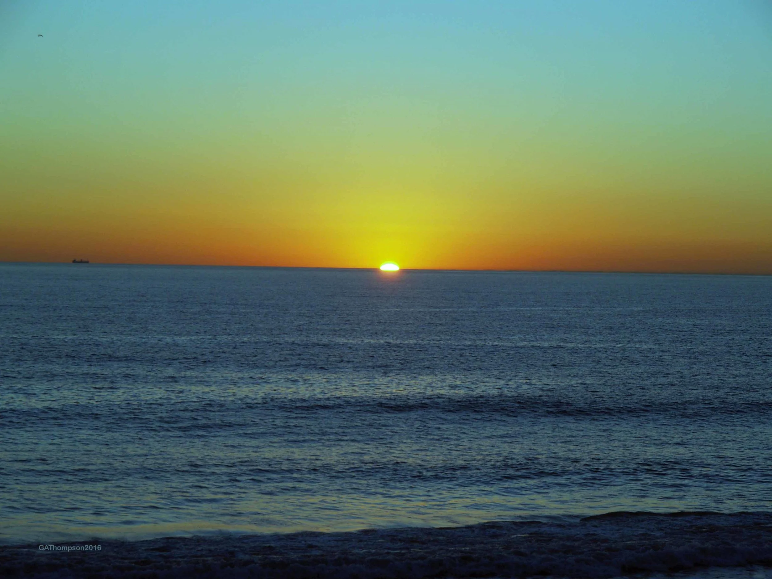 P1012035_edited-1_72.jpg