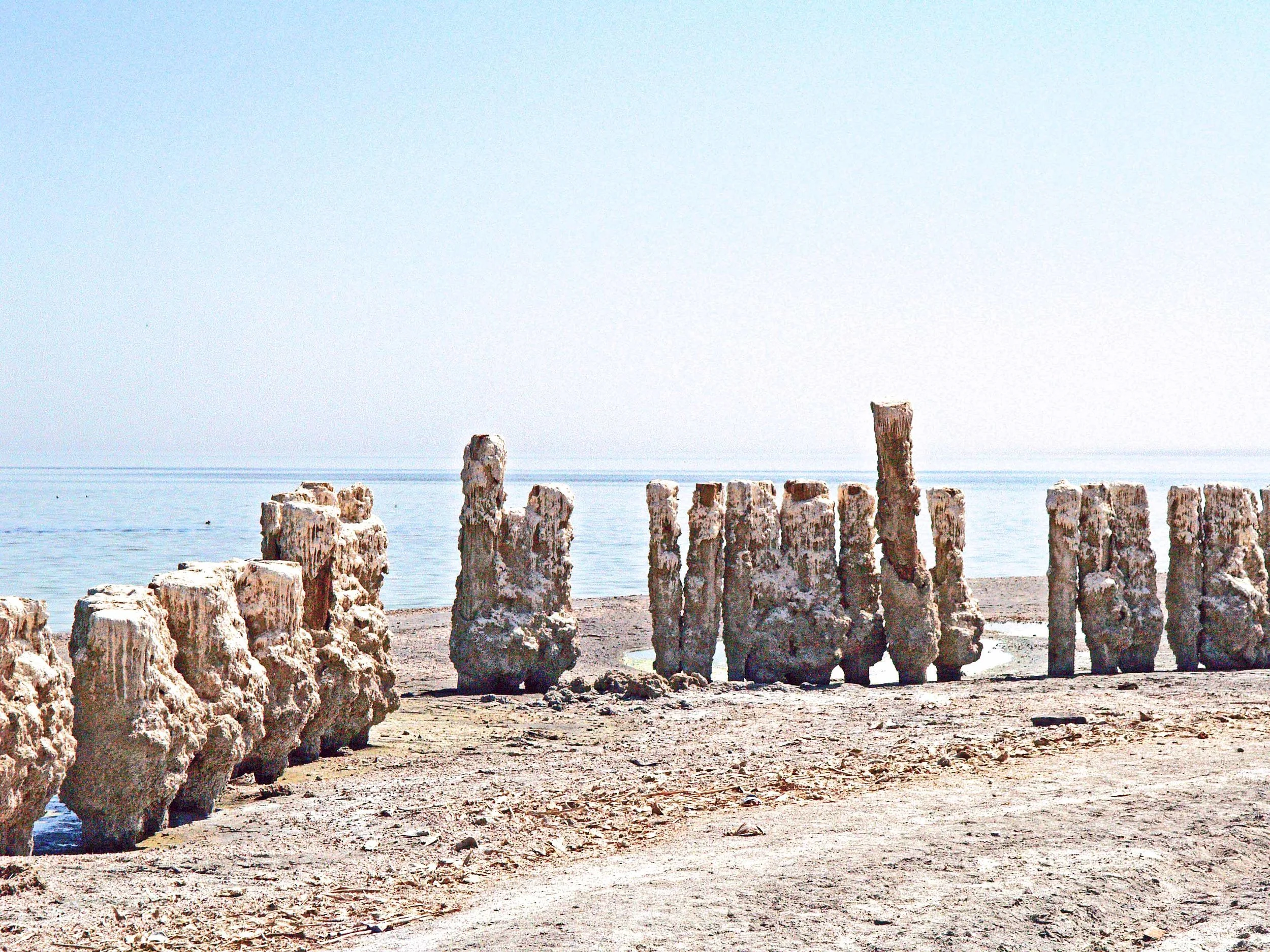 P1012335v1_72.jpg