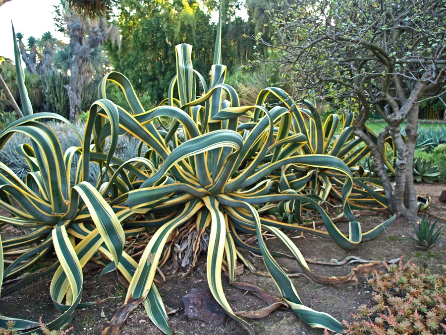 HuntArborSucc28v1-98.jpg