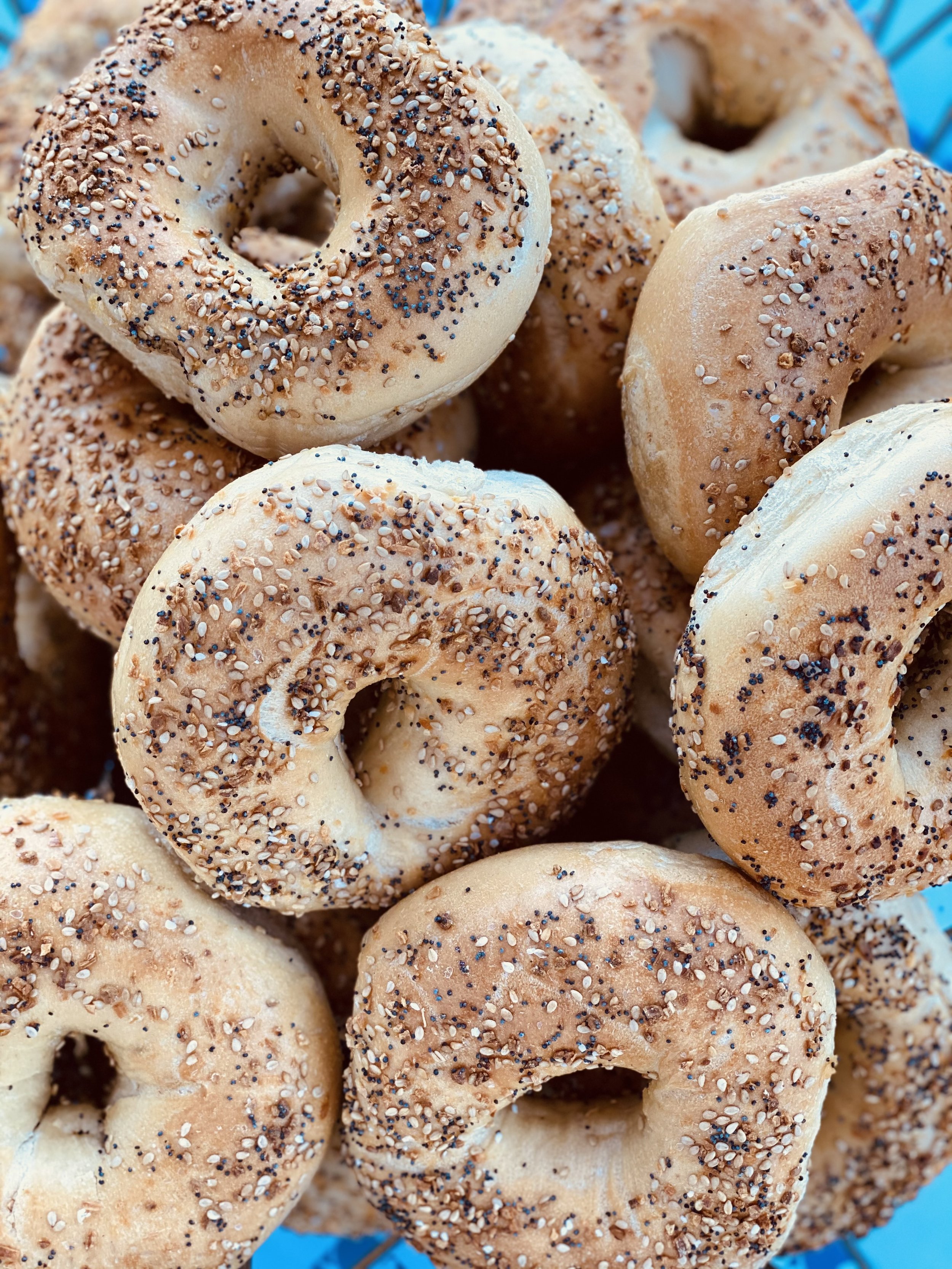 Bagels for vinyl v1.jpg