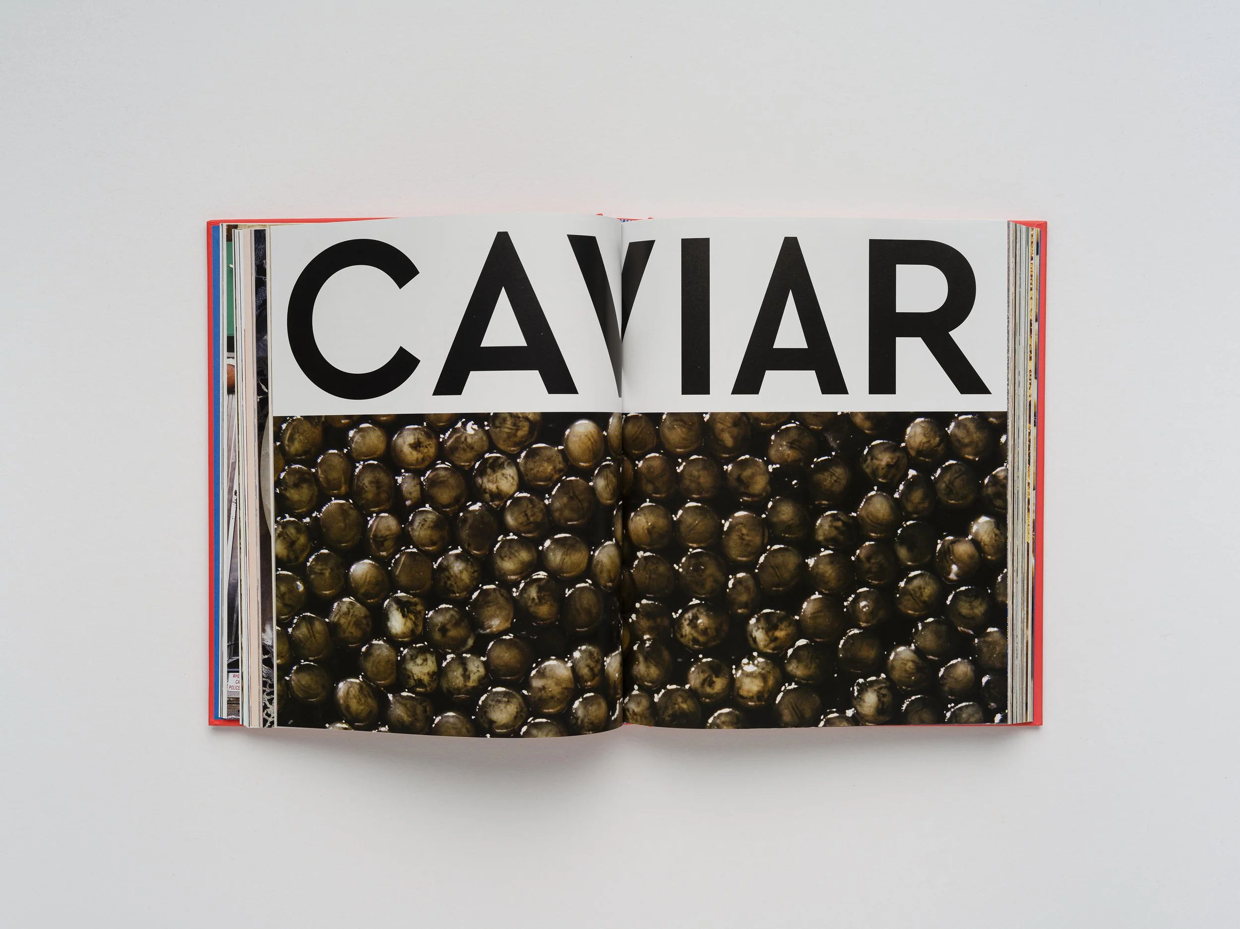 R&D-Cookbook-11-smaller.jpg