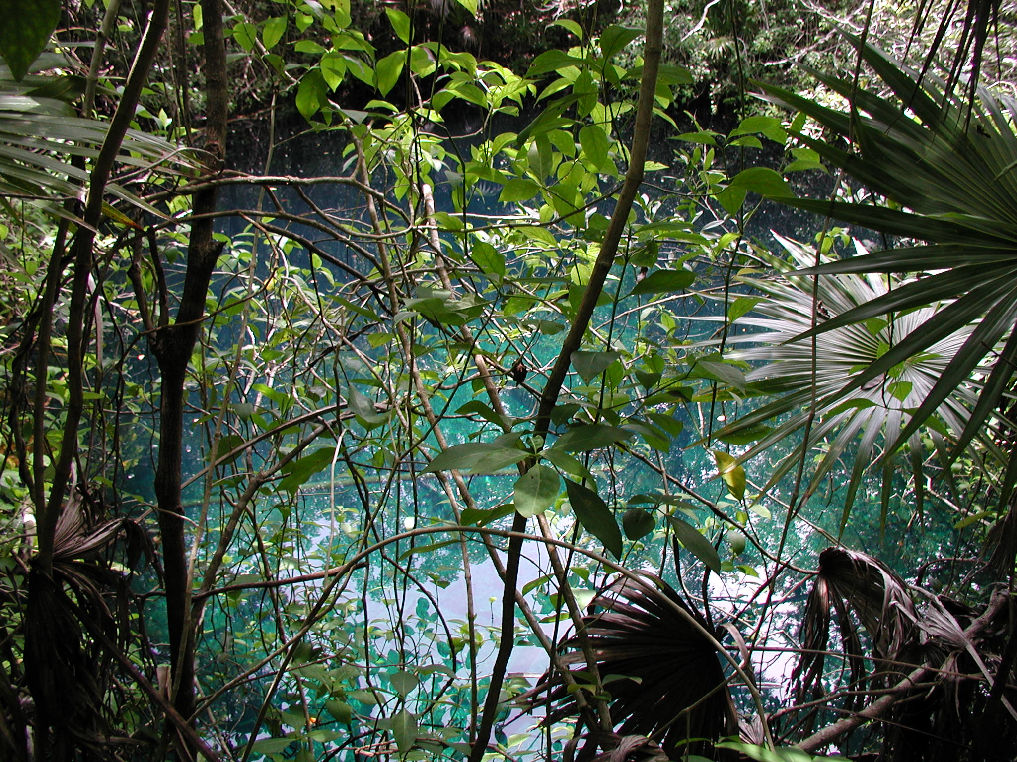 Hands down, the nicest cenote I have ever been part of finding using the 'dumb luck' method.
