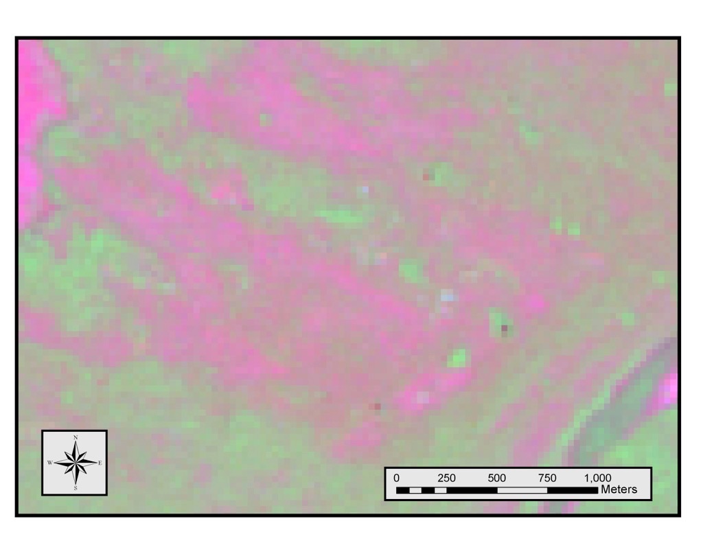 Landsat Image highlighting moisture content in vegetation. Brighter green areas are potential cenotes.