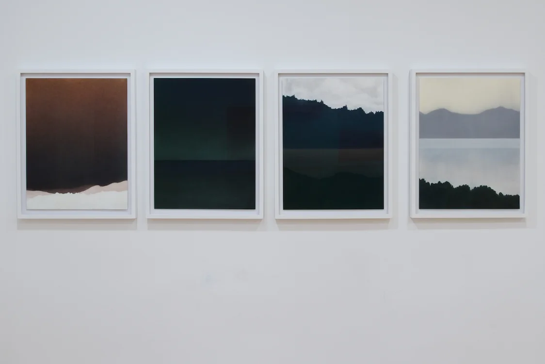 La Isla XVIII, XVII, XV, & XIV , 2015, pastel on paper, 65 x 50 cm ea.