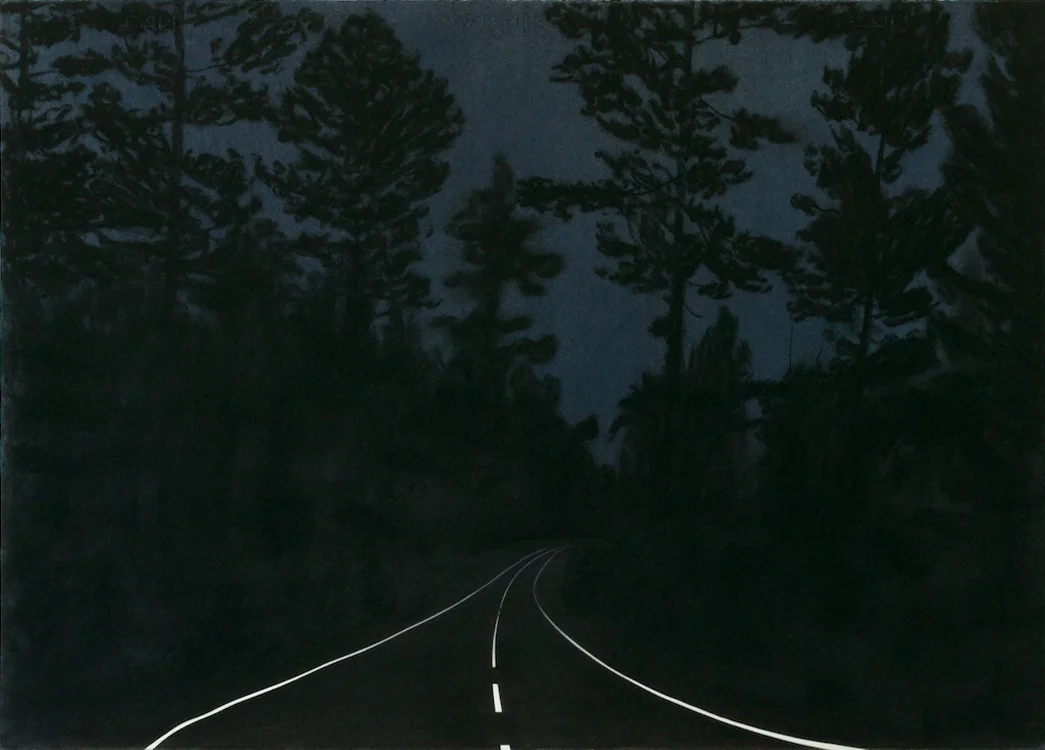 LN4 , 2013, dry pastel pigment on paper, 70 x 100 cm