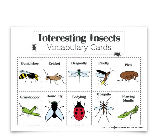 Interesting Insects Educational Product