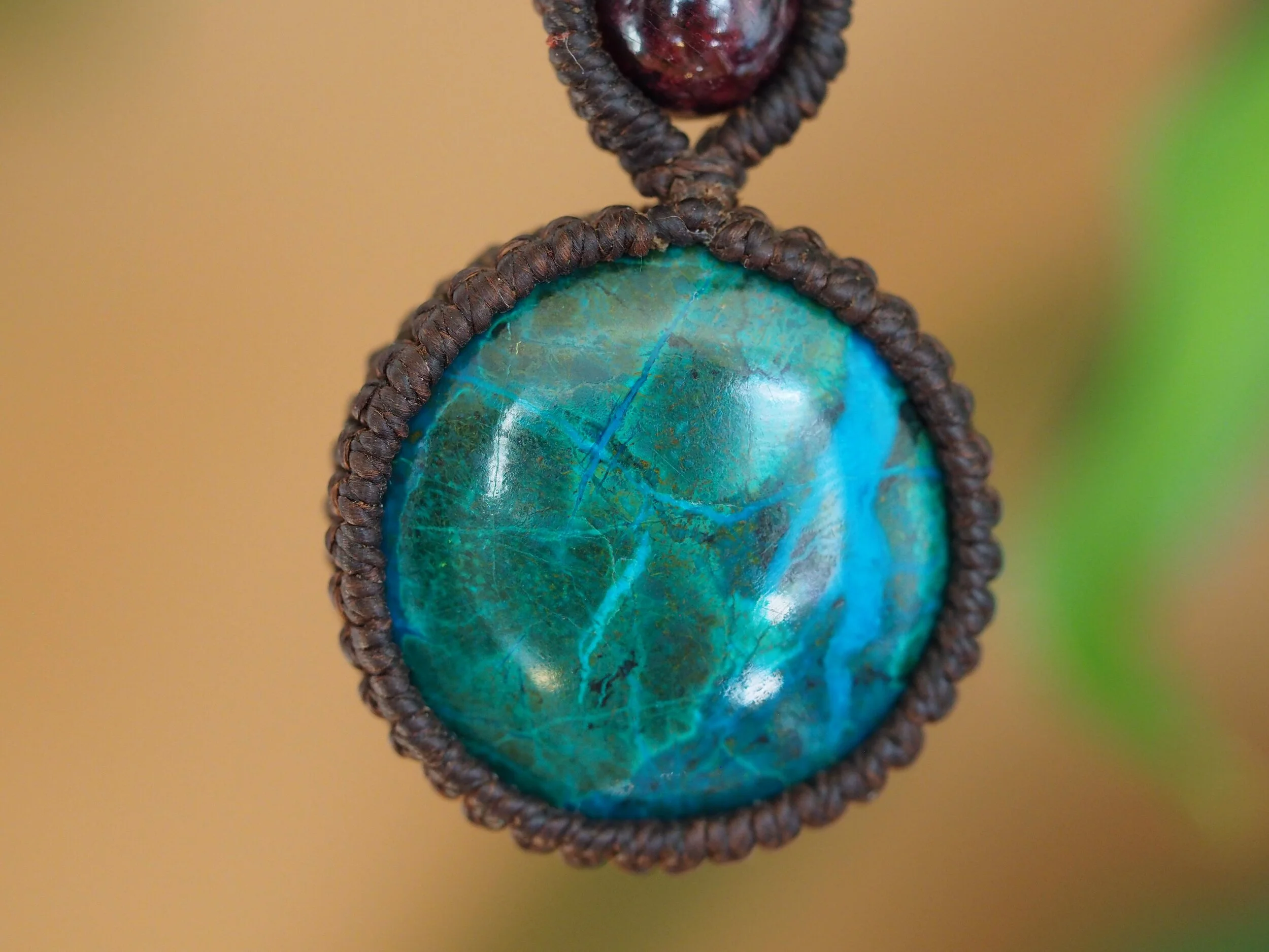 5 P9166646.JPG