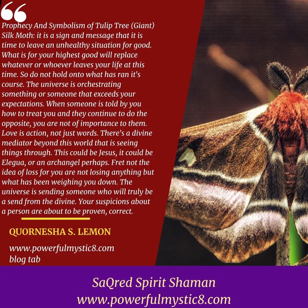 Prophecy And Symbolism of Tulip Tree Giant Silk Moth: 

https://www.powerfulmystic8.com/sacred-spirit-shaman-blog/2024/3/21/tulip-tree-giant-silk-moth-prophecy-and-symbolism

LET. IT. GO. #toxicpeople 

#Priestess #shaman #mystic #shamanism #blessing