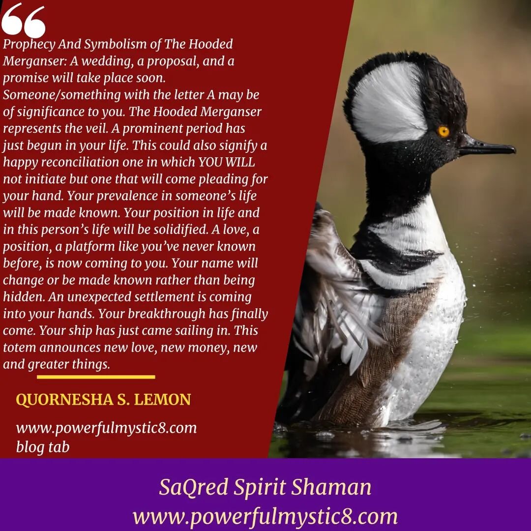 Prophecy and Symbolism of the Hooded Merganser 
https://www.powerfulmystic8.com/sacred-spirit-shaman-blog/2024/3/28/hooded-merganser-prophecy-and-symbolism

#prophet #priestess #psychic #energy #shifting #emapth #mystic #divine #shamanism #totaleclip