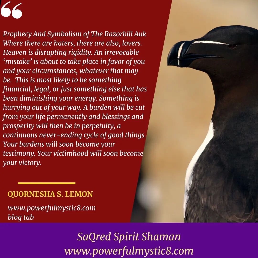 Prophecy and Symbolism of Razorbill Auk 
https://www.powerfulmystic8.com/sacred-spirit-shaman-blog/2024/4/3/razorbill-auk-prophecy-and-symbolism

#prophet #priestess #prayerwarrior #power #prophecies #mystic #shaman #mysticism #animaltotems #birdsofi