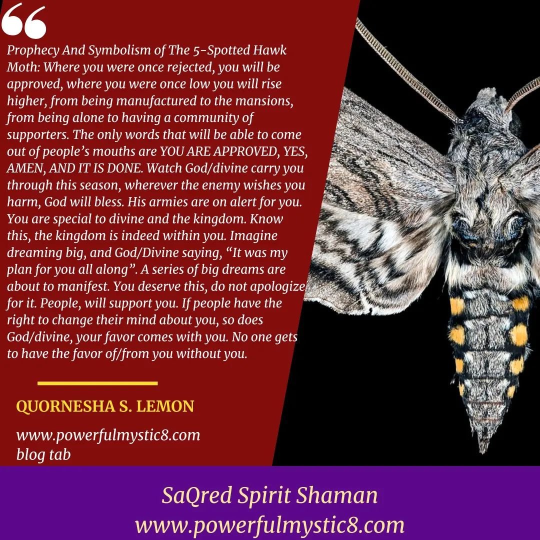 Prophecy and Symbolism of the 5-Spotted Hawk Moth
https://www.powerfulmystic8.com/sacred-spirit-shaman-blog/2024/4/18/prophecy-and-symbolism-of-the-5-spotted-hawk-moth

#prophecy #prophecies #prophet #priestess #dreambig #manifesting #manifest #divin