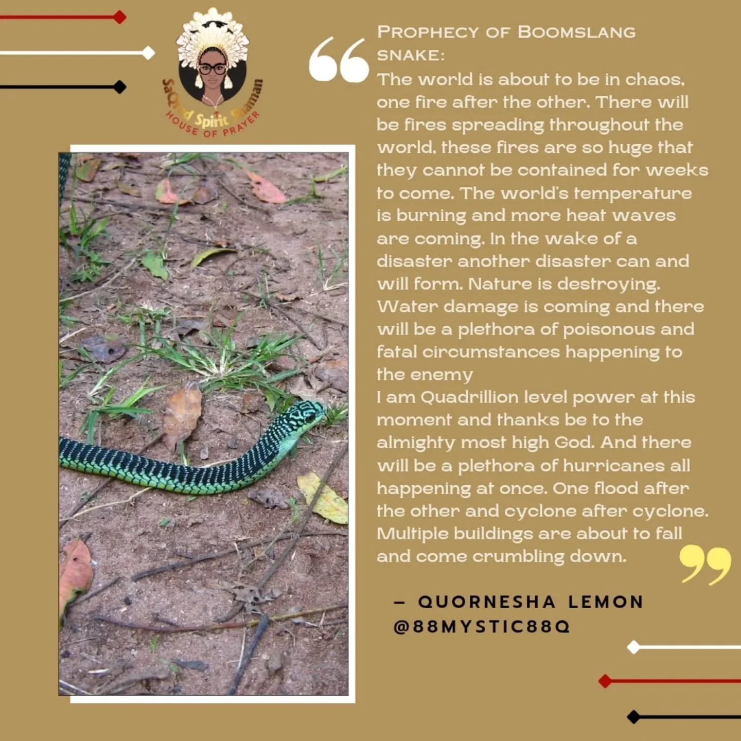 Prophecy of the Boomslang| Fire After Fire is coming| Poisonous Circumstances are coming| Cyclone After Cyclone| Hurricane after Hurricane 🌀 🌀🧿 

Hi, I am Quornesha Shaman, Mystic, Prophet, Sangoma healer and I am initiated into Voodoo, Hoodoo, Cr