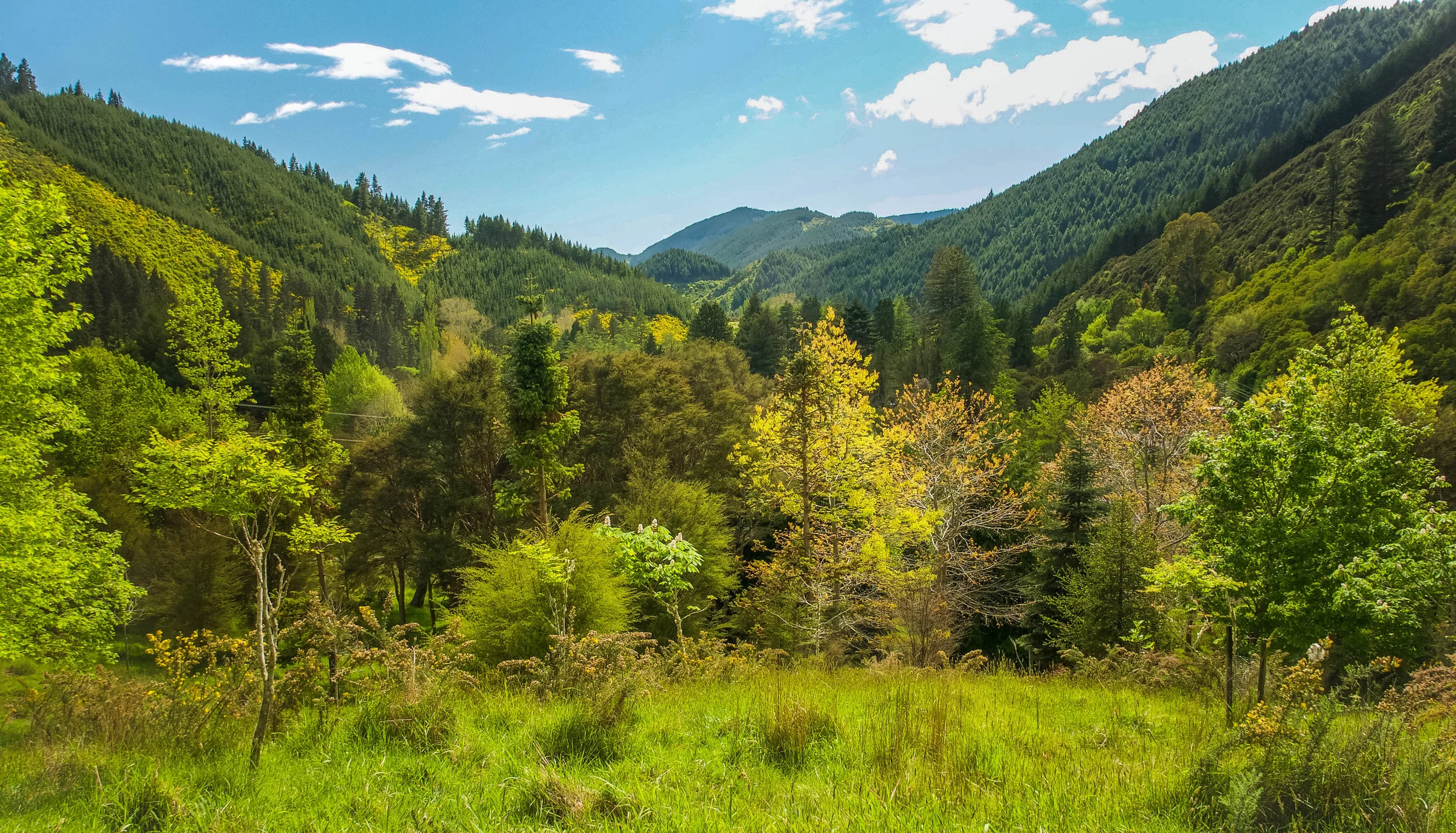 Landscape2.jpg
