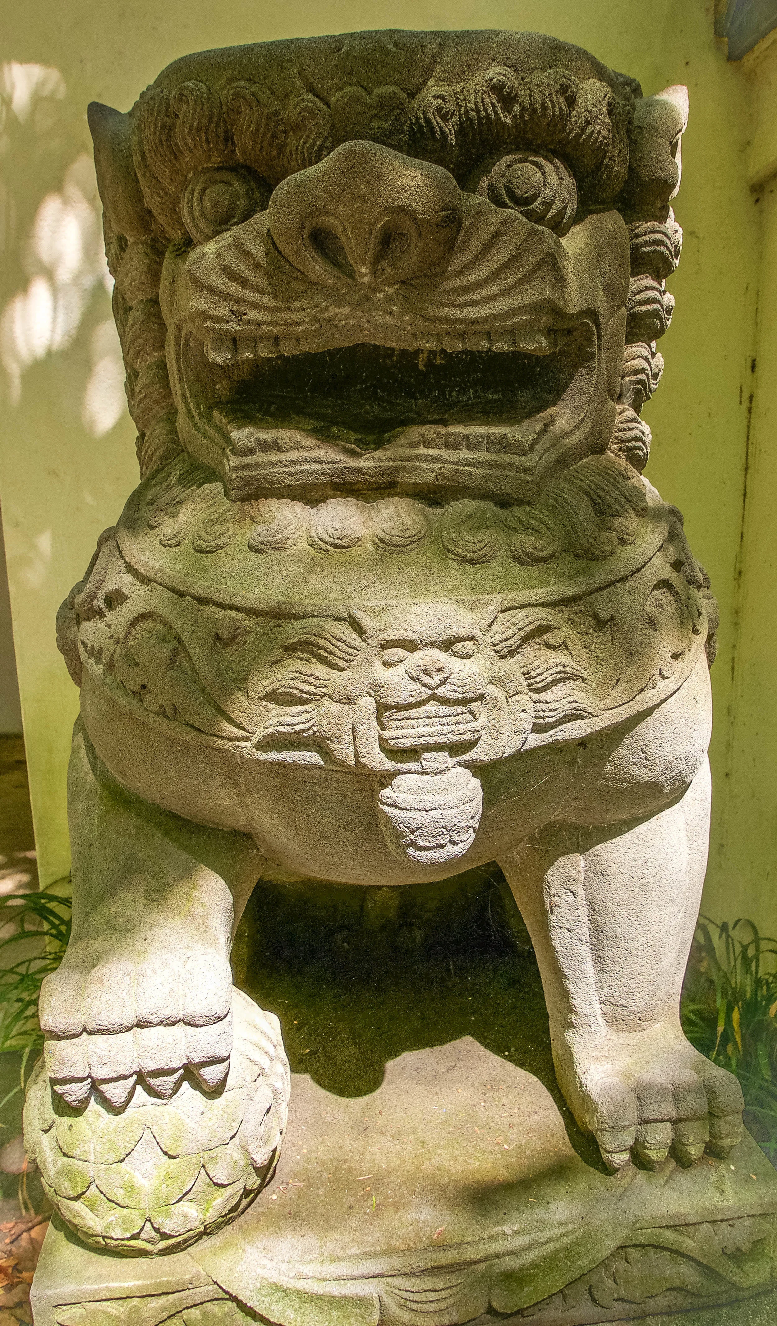Lion.jpg