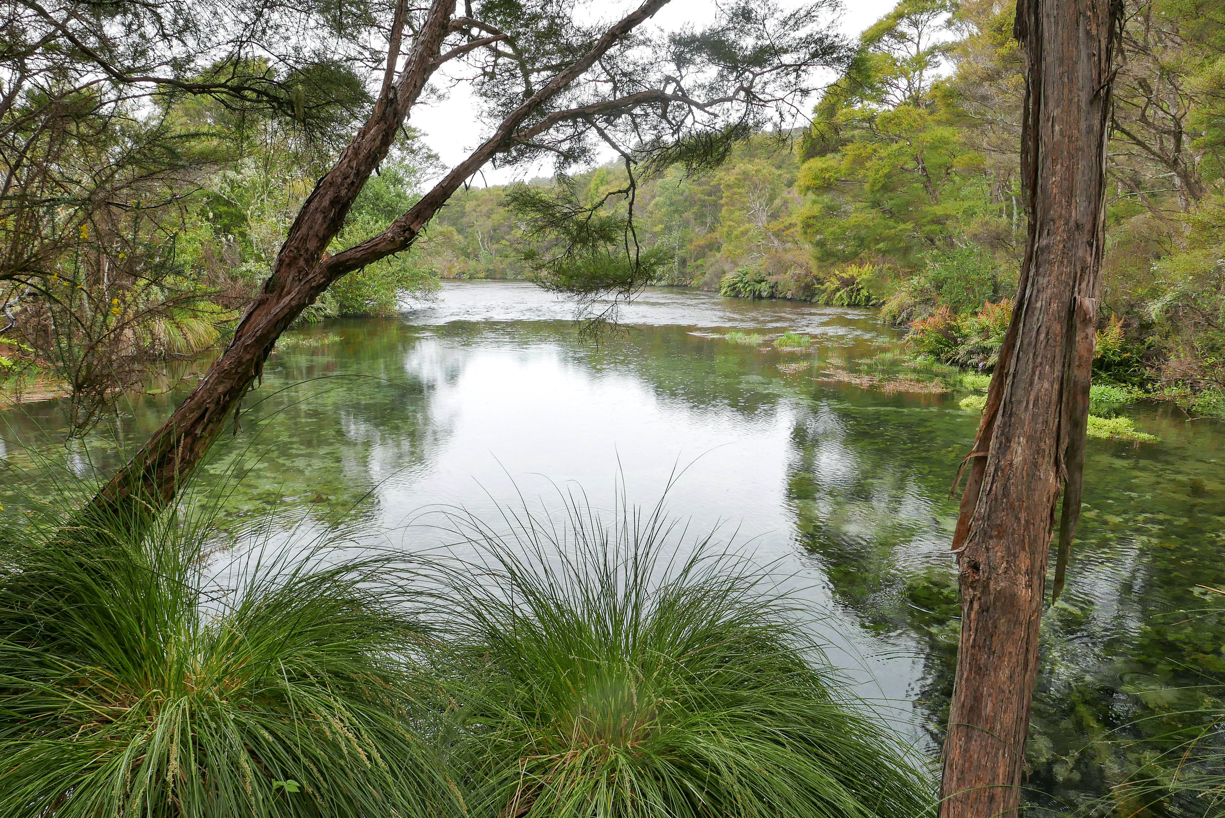 L1040373.jpg