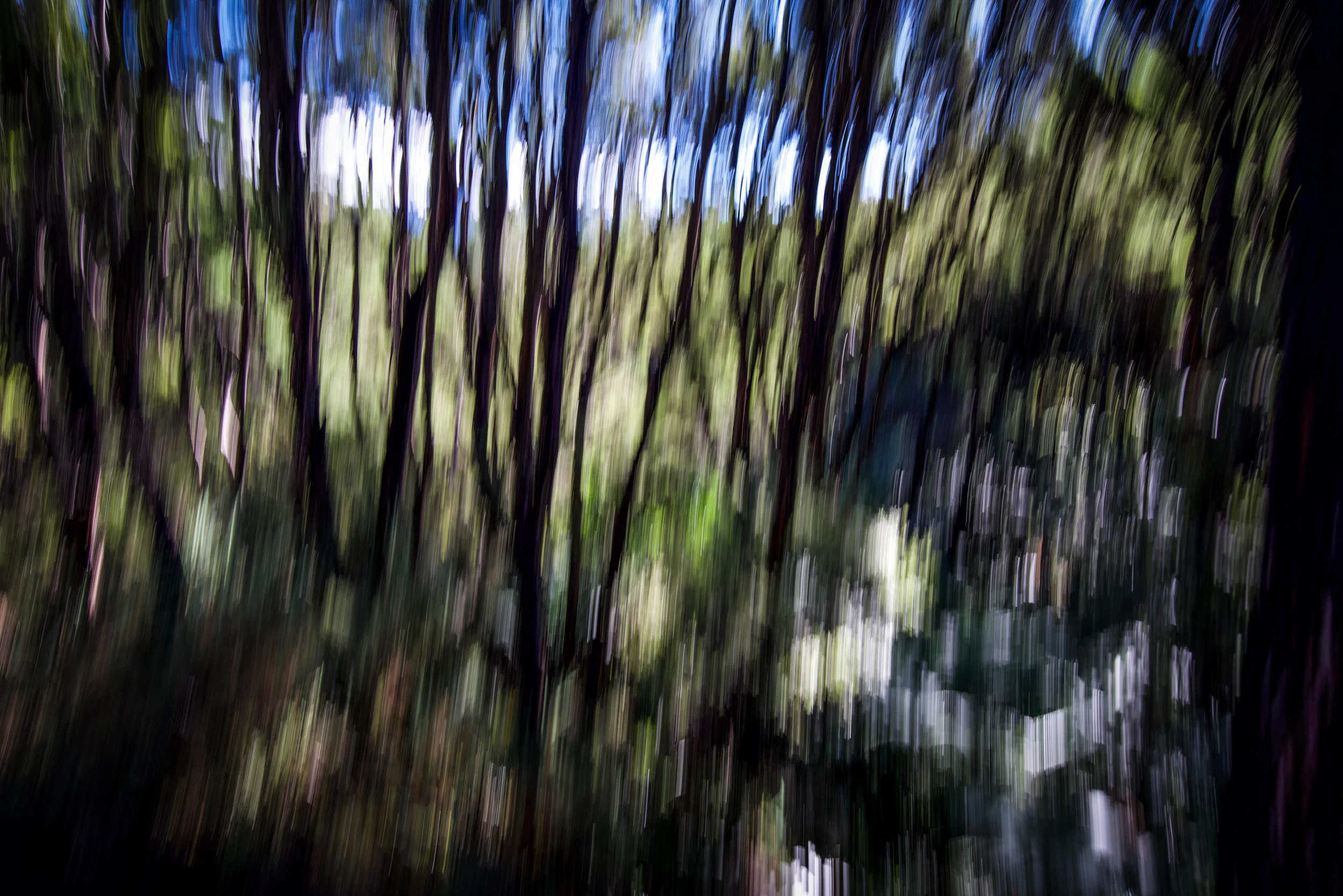 Blur.jpg