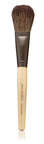 Chisel Powder Brush