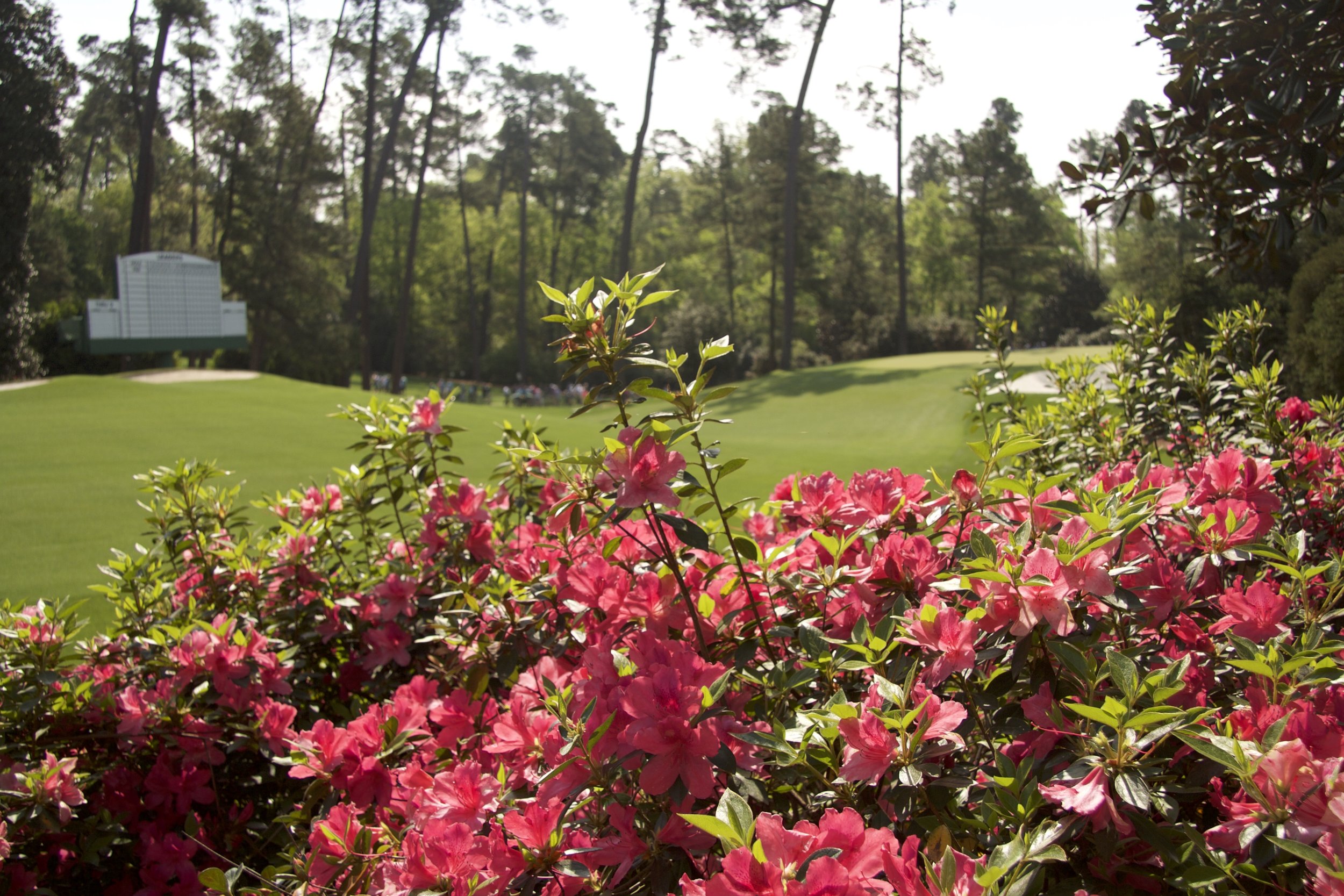 The Masters, Augusta National