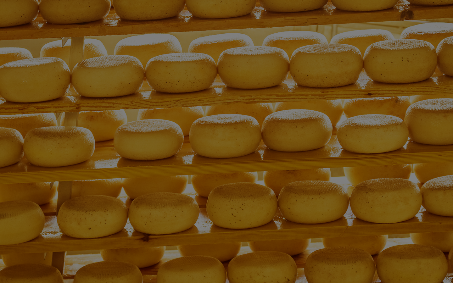 Ariza Cheese Manufacturing